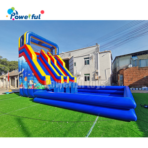 Tobogán Acuático Inflable Comercial de Doble Pista <span class=keywords><strong>para</strong></span> Fiestas y <span class=keywords><strong>Eventos</strong></span> - Product Image 6
