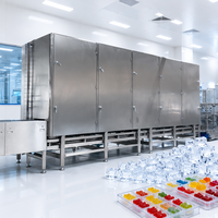 Machine de refroidissement industriel pour tunnel de production de bonbons gélifiés, ligne de production automatique de bonbons gélifiés pour confiseries végétales biologiques