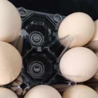 Boîte à œufs en PET rigide ultra-transparente à 30 compartiments, grande capacité, pour le stockage des œufs en vrac, pour les cuisines commerciales et les services de restauration