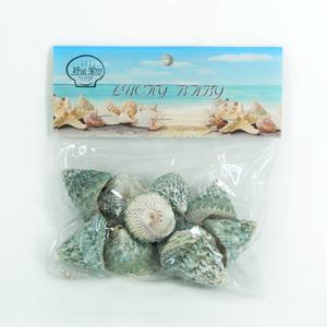 <span class=keywords><strong>2</strong></span>-4cm Green Tower Muschel Schnecke Green Natural Conch Aquarium Landschaft Schalentiere Einsiedler Krabben Muschel Proben Dekor Handwerk - Product Image 6