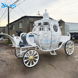 Buggy de Casa de maratón de 4 ruedas/carruaje de boda Caleches Turísticos/carruaje de Cenicienta con certificación CE a la <span class=keywords><strong>venta</strong></span> - Product Image 3