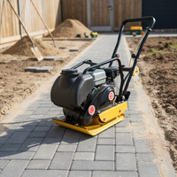 Compacteur de plaques portable de haute qualité pour équipement de construction à prix compétitifs