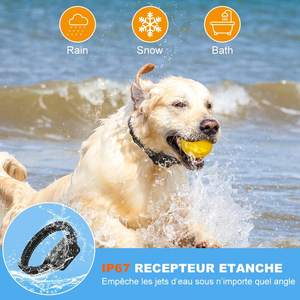 IPetDog Télécommande d'entraînement aux chocs électriques bon marché Colliers d'entraînement pour chiens de compagnie Dispositif anti-aboiement vibrant rechargeable pour chiens - Product Image 6