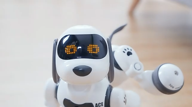 Roboter Hundespielzeug - Programmierbar Mit Bluetooth & LED Augen Für Kinder Ab 3
