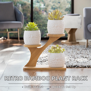 Estante de Exhibición de Bonsáis de Tres Niveles, Estilo Retro, Fácil de Montar, Diseño Desmontable, Soporte para Macetas de Plantas Verdes y Flores, Tipo Vertical - Product Image 2