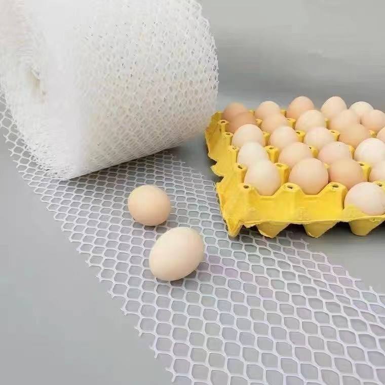 Livestock Chicken Net Broiler Egg Chicken Plastic Ground Net
