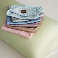 Véritable Housse de Coussin Classe A 100 en Lyocell, Couleur Unie, Moderne et Minimaliste, pour l'été, en Soie Brocart, Vente en Gros