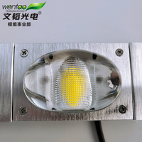 Module LED d'éclairage public haute luminosité 50W, source lumineuse IP67, accessoires de remplacement pour lampes de signalisation, fourni par l'usine
