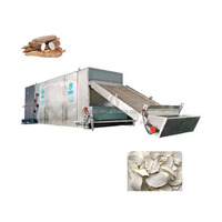 Maniokverwerkingsmachines Gaasbanddroger Fruit Groenten Drogen Fruit Groenten Voedsel Dehydrator Doorlopende Droger