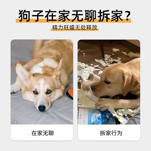 Dog Chew Toy Realistic Snapping Newspaper Durable Teeth Cleaning Interactive Pet Toy For Cats And Dogs - Product Image 4