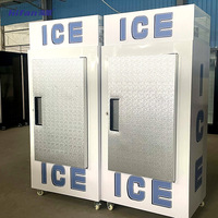 Congélateur commercial 650L pour glace, refroidissement par ventilateur, 80 sacs, contrôle numérique de la température, présentoir à glace