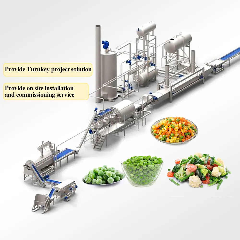 TCA automatic tomatoes snow peas vegetable washing and drying iqf processing line machine