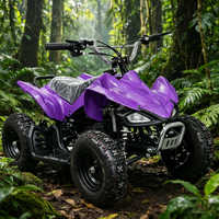 Minimoto de Cuatro Ruedas de Larga Distancia con Freno de Disco Único y Transmisión Automática por Cadena