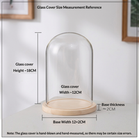 Cloche en verre avec base en bois, cloche de présentation transparente pour plantes, artisanat, bijoux, fleurs préservées