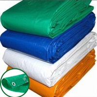 Bâche économique en PE, bâche en tissu imperméable, couleur verte, bleu et argent, 5OZ, 6OZ, livraison gratuite