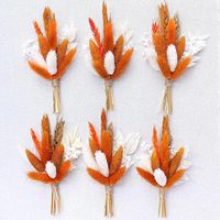 Mini Bouquets de Fleurs Séchées Boutonnières Garçons d'Honneur Mariage Boutonnières Herbe de la Pampa Composition Florale