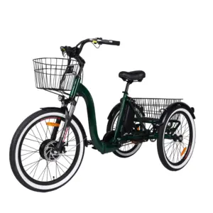 48V Electric Cargo Bike 20 Inch Electric Bike Electric Tricycle Electric Trike Adult