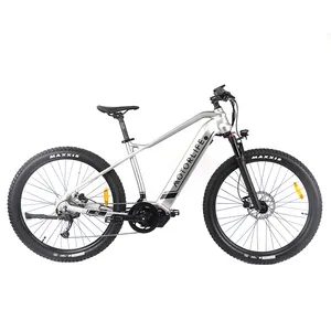 Hot sale high quality 9 speed MTB electric bicycle with ANANDA 48v 500w M100 Middle motor customized e-bike