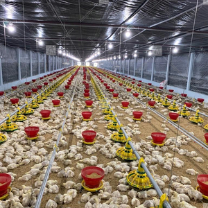 Yyb lml41 Gà Thịt Chăn Nuôi Vịt Chim Cút gà sàn nhà nhựa Pan trung chuyển gia cầm tự động hệ thống cho ăn - Product Image 5