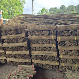 Vietnam <b>Bamboo</b> Garden Stakes Manufacturer Wholesale Tonkin <b>Bamboo</b> <b>Canes</b> for Agricultural Plant Support System - Product Image 1