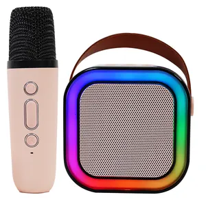 Tragbares Heim-KTV Karaoke-Gerät mit Mini-Bluetooth kabelloses Mikrofon Lautsprecher USB-Ausgang für Erwachsene und Kinder perfektes Geschenk