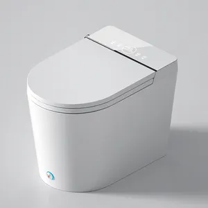 Neu Chinese Sanya Bewegungs sensor Langer Deckel Automatische Spülung Elektronische Digitale Smart Peep Kompost Toiletten schüssel