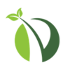 Prime Vista Exports Ltd. logo