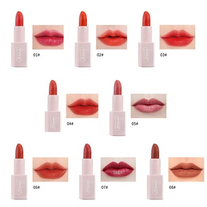 Rouge à lèvres personnalisé DSM 8 couleurs Imperméable Rose Rouge Beauté Lèvres Batom Rouge à lèvres mat Maquillage Facile à porter Gloss à lèvres cosmétique - Product Image 2