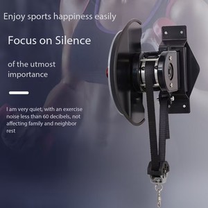 Hete Aanbieding IJzeren Centrifuge Trainer Vliegwiel Wandmontage Machine Variabele Weerstand Excentrische Vliegwiel Apparatuur 130kg Unisex - Product Image 5