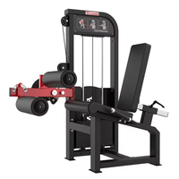 Machine de gymnastique multifonction SP Bodybuilding force commerciale Fitness avec boucle de jambe sujette chargée par épingle et exercice d'extension