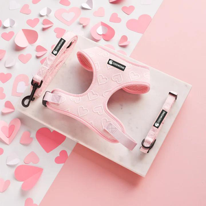 Arnés de lujo personalizado para mascotas, correa para perros, arnés diario, correas para caminar y arneses para suministros para mascotas, perros y Mascotas - Product Image 1