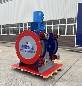 20+ Jahre Herstellererfahrung: Industrielle Schlauchpumpe, Peristaltische Quetschpumpe für Bergbau-Schlammtransfer - Product Image 2