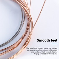 ROAD DOG Folk Acoustic Guitar Strings Steel Phosphor Bronze Thin Coated Rust-Resistant Set of 6 for Wooden Guitars