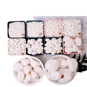 Naturale tumbled neve bianco ciottoli di pietra <span class=keywords><strong>per</strong></span> bonsai e semi di <span class=keywords><strong>piante</strong></span> <span class=keywords><strong>grasse</strong></span> - Product Image 1