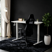 Bureau réglable en hauteur à manivelle PRORIALS, série moderne, mécanisme de levage fluide, cadre en acier ergonomique, ordinateur réglable
