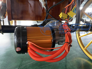 Carruajes de Caballos para Bodas y Turismo, y Carruajes Eléctricos de Caballos en Venta, Transporte Especial - Product Image 6