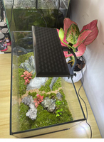 Nouvelle lampe LED rectangulaire en métal pour plantes aquatiques, herbes, mousse, à clipser sur l'aquarium, pour salon, bureau