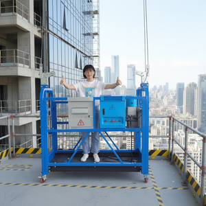 Plataforma Suspendida <span class=keywords><strong>de</strong></span> Acero para Andamios Eléctricos <span class=keywords><strong>de</strong></span> 300 kg Usada para <span class=keywords><strong>Limpieza</strong></span> <span class=keywords><strong>de</strong></span> Ventanas y Pintura <span class=keywords><strong>en</strong></span> <span class=keywords><strong>Altura</strong></span> - Product Image 3