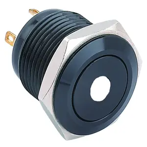 Pulsador negro de 16mm con luz (PM161F-10D/J/A ,CE, RHS S)