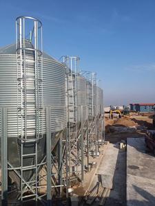 Equipo de cría de ganado automatizado Nueva condición Torre de alimentación de granja de cerdos Hoja galvanizada Torre de almacenamiento de alimentación de cerda 1 año de garantía - Product Image 3