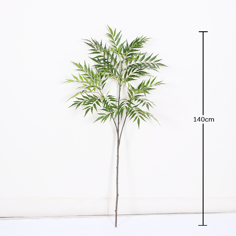 Branche unique de Mahonia fortunei, 3 branches - 140cm