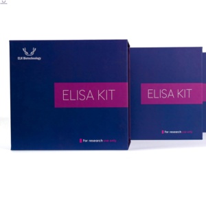 Kit ELISA para la proteína humana AKR1C3 (Aldo-keto Reductase Familia 1 Miembro C3) - Product Image 1