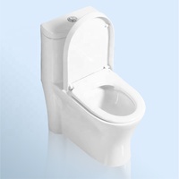 Cuvette de toilette moderne en porcelaine à double chasse pour hôtels Structure monobloc avec siphon en S Drainage WC Toilette