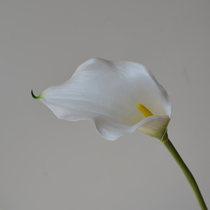 L-R327 Nouveau design, <span class=keywords><strong>bouquet</strong></span> <span class=keywords><strong>de</strong></span> <span class=keywords><strong>fleurs</strong></span> artificielles haut <span class=keywords><strong>de</strong></span> gamme fait main, calla, anthurium, phalaenopsis, amaranthus, pour <span class=keywords><strong>bouquet</strong></span> <span class=keywords><strong>de</strong></span> <span class=keywords><strong>mariée</strong></span> - Product Image 4