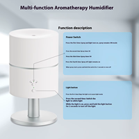 Machine multifonctionnelle de diffuseur d'arôme de chauffage de refroidissement de 200ML une lampe purificateur d'air électrique à double usage pour l'usage domestique
