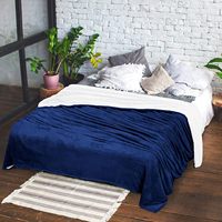 Couverture imperméable en velours pour adultes Four Seasons Fleeced Thick Plush Raschel Caractéristiques Custom Double Size