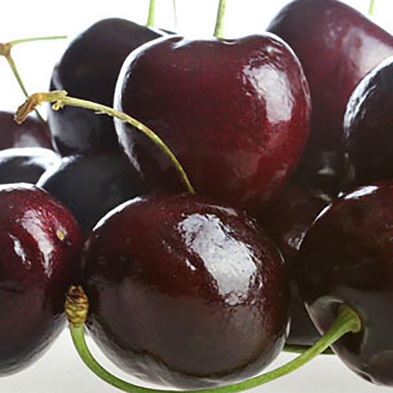 1# เชอร์รี่อเมริกัน