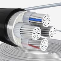 Cable de Aluminio YJLV de 300/500V, Aislamiento XLPE, Cubierta de PVC, Cable de Alimentación para Construcción