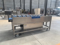Multi-Station Automatische Fruitgewicht Combinatie Weegschalen Machine