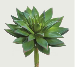 Cây Nhân Tạo Cảm Ứng Thật Cây Mọng Nước Nhỏ Mềm Bán Sỉ Chậu Cây Xương Rồng Lớn Ngoài Trời Không Chậu Nhỏ Để Trang Trí - Product Image 2